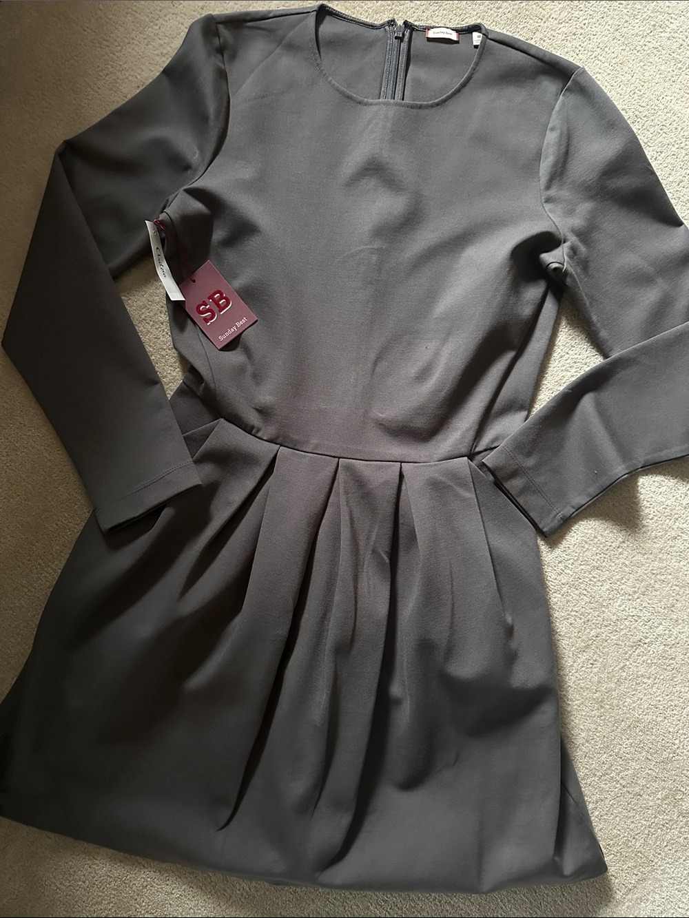 Aritzia Grey Long-Sleeve Pleated Skater Dress!